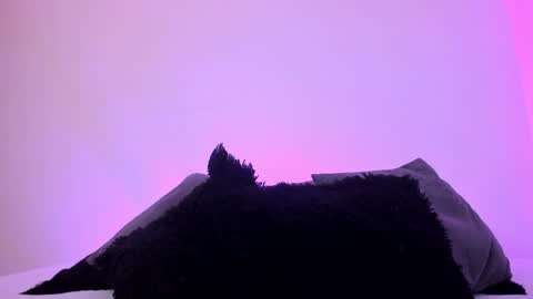 Snapshot of jade_james chatting on December 2024 01:14:01 AM Mady online show from December 2024 01:14:01 AM