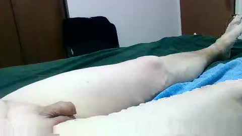 Jaks online show from January 2025 09:29:01 PM