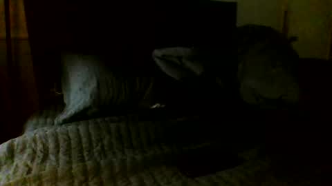 Snapshot of jamacianmehorny chatting on November 2025 05:07:02 AM Jamacian online show from November 2025 05:07:02 AM