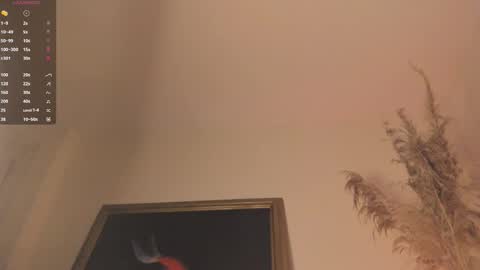 Snapshot of james_carter7 chatting on October 2025 04:54:01 AM Juan online show from October 2025 04:54:01 AM