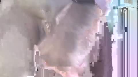 Snapshot of jamesbond007322393 chatting on September 2025 04:52:02 PM jack online show from September 2025 04:52:02 PM