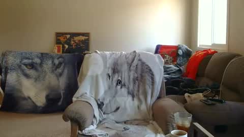 jameswolf777 online show from December 2025 08:06:01 PM