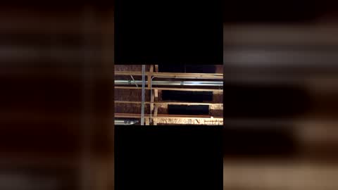 jamie19905 online show from March 2026 03:45:01 AM