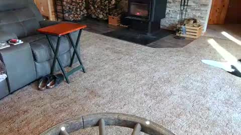 Snapshot of janeen_and_themayor chatting on February 2025 04:47:02 PM janeen- online show from February 2025 04:47:02 PM