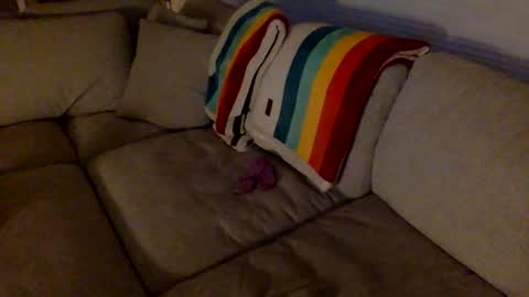 janicepepper online show from December 2025 10:32:01 AM