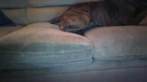 Snapshot of janks1963 chatting on September 2025 04:47:01 AM janks1963 online show from September 2025 04:47:01 AM