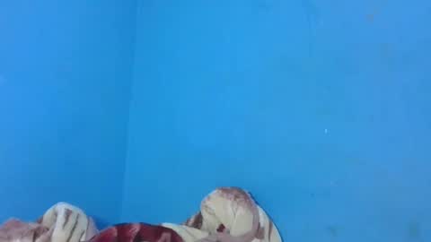 Snapshot of jarevavax chatting on January 2025 02:58:01 PM JarevavaX online show from January 2025 02:58:01 PM