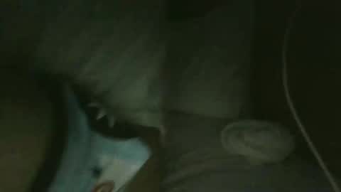 jarrettdainty559 online show from December 2025 08:31:02 AM