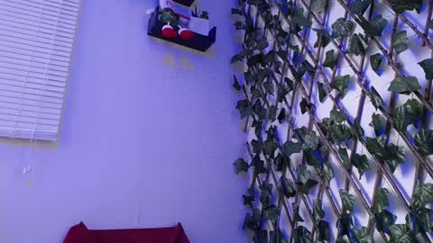 JKing  online show from December 2024 07:04:02 PM