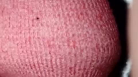 Snapshot of jasspreettt chatting on December 2024 07:11:02 AM jasspreettt online show from December 2024 07:11:02 AM