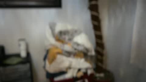 JAV online show from April 2026 02:29:02 AM