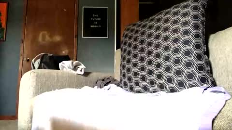 Snapshot of jawssharkparty chatting on September 2025 07:25:01 PM Jaws online show from September 2025 07:25:01 PM