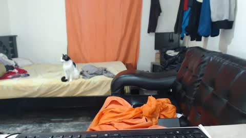 jaxivh16 online show from October 2025 03:17:01 AM