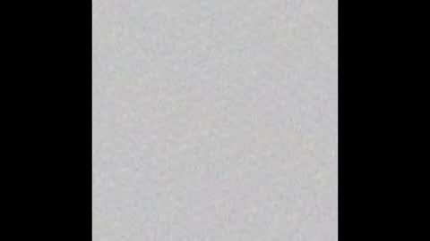 Dicky Down online show from December 2025 08:41:02 AM