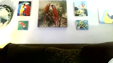 jay-jay1475 online show from January 2025 08:46:02 PM