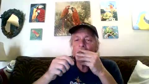 jay-jay1475 online show from February 2025 06:33:01 PM