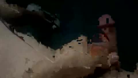 Jay Peso online show from November 2025 07:51:02 PM