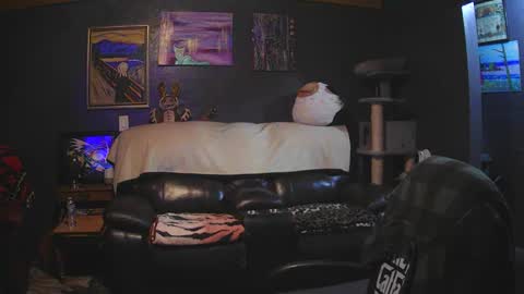 Grand Zaddy or Jay its casual online show from March 2026 05:13:02 AM