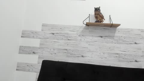 Jaycreedd online show from October 2025 09:55:01 PM