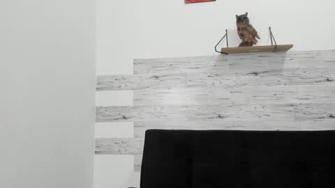 Jaycreedd online show from October 2025 02:53:02 AM