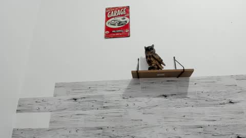 Jaycreedd online show from November 2025 02:11:01 AM