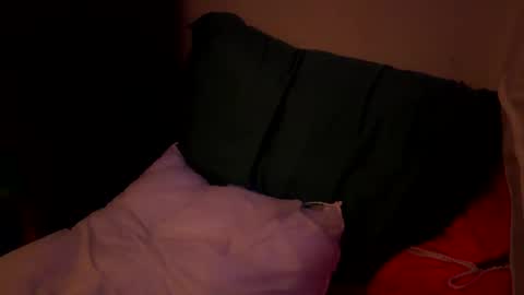 Snapshot of jaysobricked chatting on October 2025 11:40:01 AM Jaysobricked online show from October 2025 11:40:01 AM