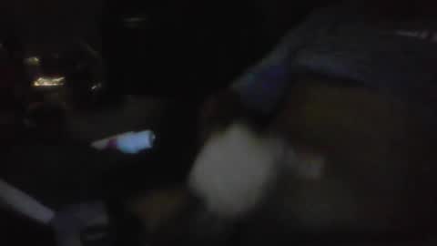 jaywulf22 online show from January 2026 05:23:02 AM