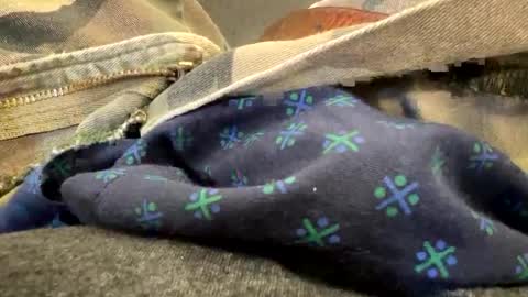 Snapshot of jbigblue chatting on September 2025 03:28:02 PM jbigblue online show from September 2025 03:28:02 PM