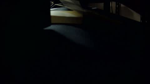 dookie online show from March 2025 10:24:02 AM