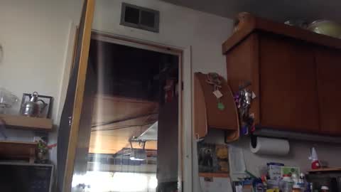 jdubba420 online show from October 2025 11:09:01 PM