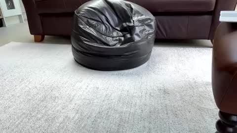 Snapshot of jeeves200 chatting on February 2025 03:16:01 PM Sensual Jeeves online show from February 2025 03:16:01 PM