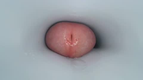 Snapshot of jeffrodgerschaturbat chatting on December 2024 11:37:02 AM jeffrodgerschaturbat online show from December 2024 11:37:02 AM