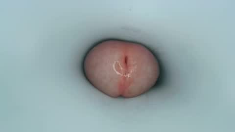 Snapshot of jeffrodgerschaturbat chatting on January 2025 12:50:02 PM jeffrodgerschaturbat online show from January 2025 12:50:02 PM