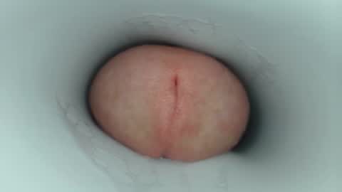 Snapshot of jeffrodgerschaturbat chatting on May 2026 04:03:01 PM jeffrodgerschaturbat online show from May 2026 04:03:01 PM