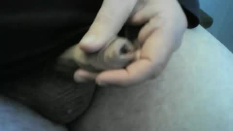 jellydaddy57 online show from January 2025 01:03:02 PM