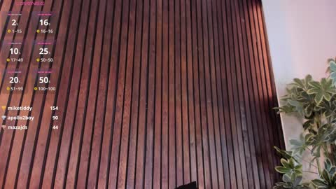     online show from January 2025 03:22:01 PM