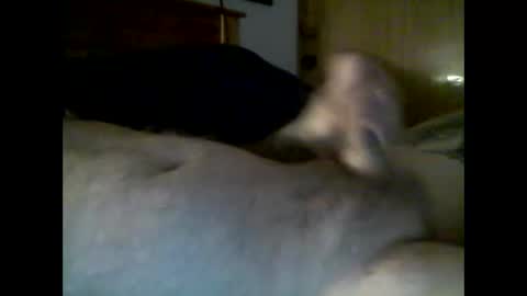 Snapshot of jerkmate6666 chatting on December 2025 10:29:02 PM jerkmate6666 online show from December 2025 10:29:02 PM