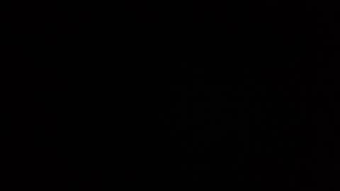 roee online show from December 2024 10:47:02 AM