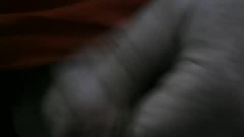 Snapshot of jerom111111111 chatting on January 2025 02:24:02 PM jerom111111111 online show from January 2025 02:24:02 PM