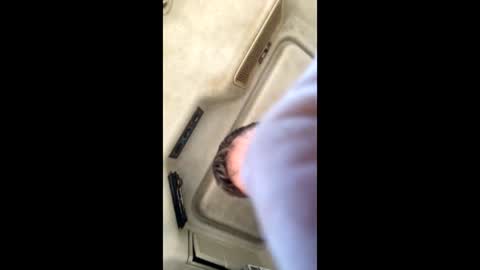 Snapshot of jesaj chatting on November 2025 12:50:02 PM jesaj online show from November 2025 12:50:02 PM