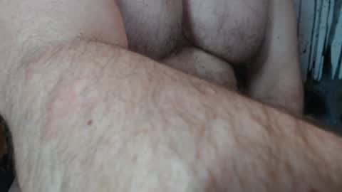 Snapshot of jimbeefbear chatting on January 2025 08:37:02 PM Jim online show from January 2025 08:37:02 PM