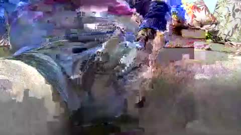 jimii281 online show from January 2026 09:53:02 PM