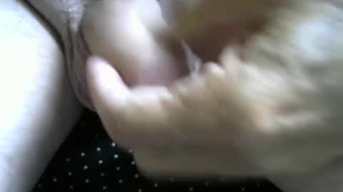 Snapshot of jimismiles chatting on October 2025 06:16:02 PM jimismiles online show from October 2025 06:16:02 PM