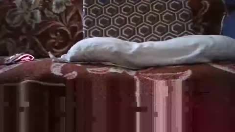 Snapshot of jimmyshelby12 chatting on January 2025 06:34:01 AM jimmyshelby12 online show from January 2025 06:34:01 AM