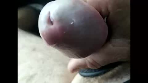 Snapshot of jjbanks5721928 chatting on February 2026 10:52:02 PM jjbanks5721928 online show from February 2026 10:52:02 PM