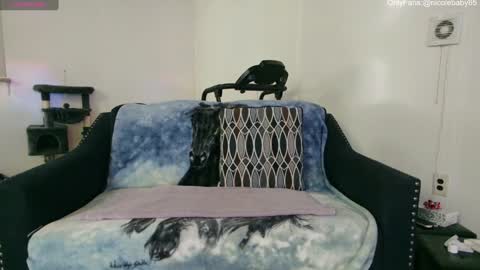 Nicole  Allen online show from December 2024 01:55:02 AM