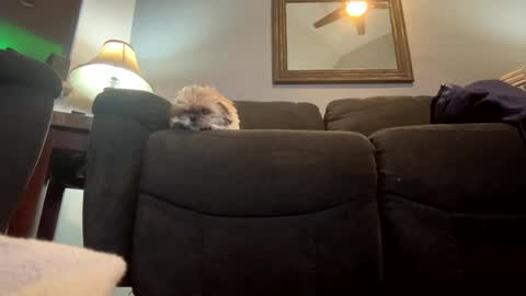 Snapshot of jlovindemsm chatting on January 2025 11:02:02 PM Jimmy online show from January 2025 11:02:02 PM