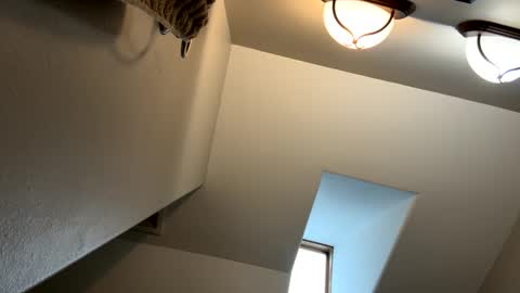 Snapshot of jlovindemsm chatting on February 2025 05:14:01 PM Jimmy online show from February 2025 05:14:01 PM