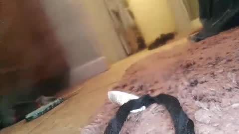 Snapshot of jlovindemsm chatting on February 2025 01:57:01 AM Jimmy online show from February 2025 01:57:01 AM