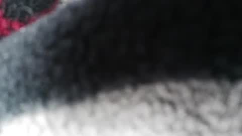 Snapshot of jlovindemsm chatting on February 2025 05:56:01 AM Jimmy online show from February 2025 05:56:01 AM